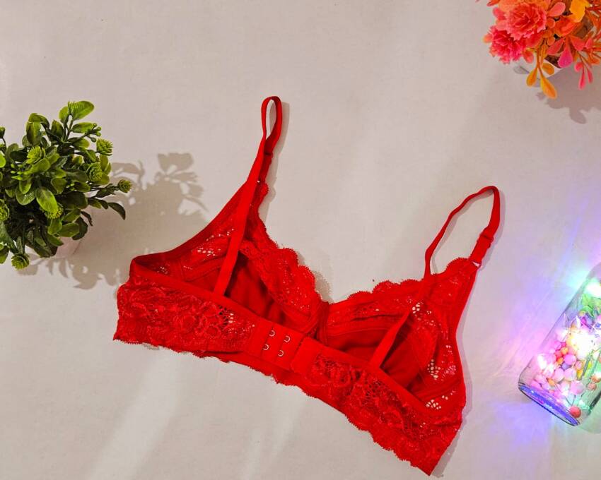 Flossy Cosy Lingerie Sets with Net febric - Image 2